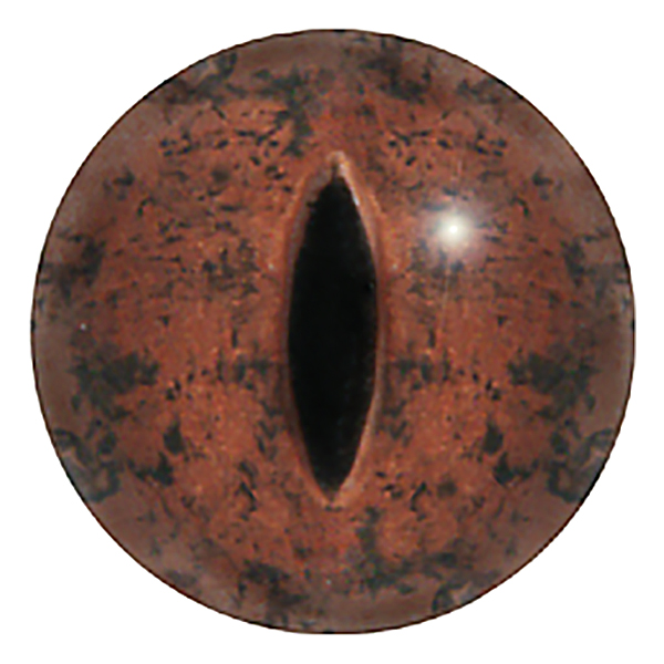Size: 06mm