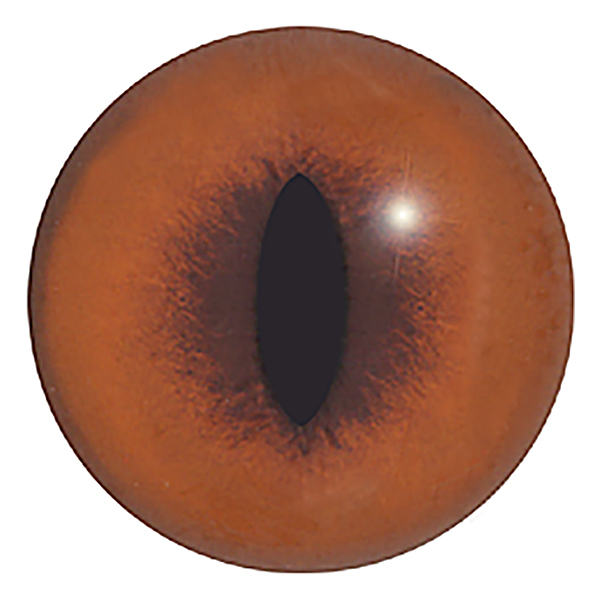 190C - H01 - Size: 15mm