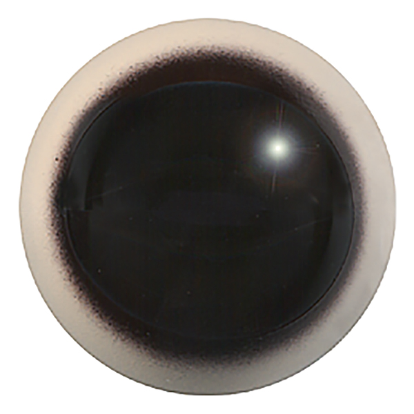 190TO - T01 - Size: 26mm  | Iris: 22mm