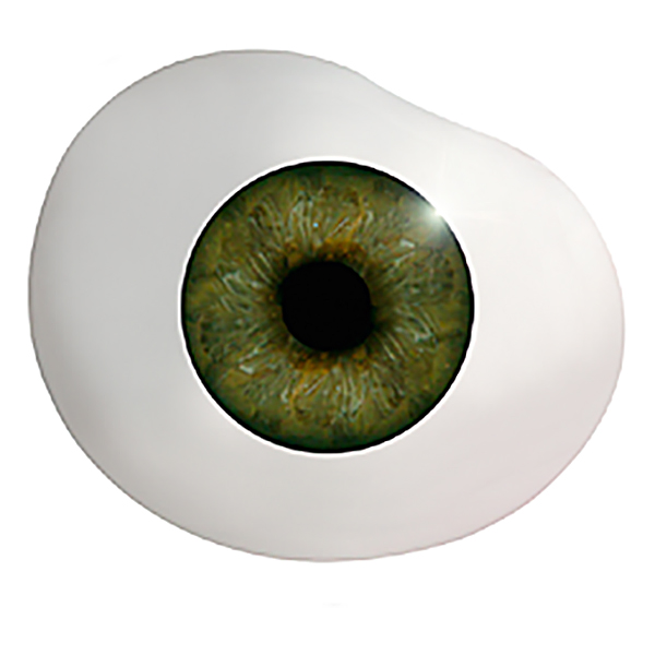 900P - TO02 - Size: 24mm  | Iris: 10mm