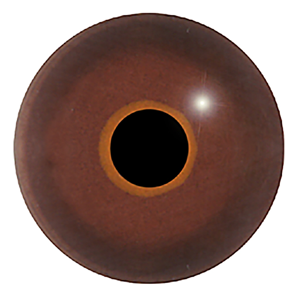 Size: 05mm