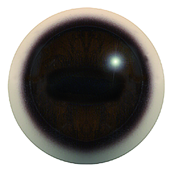 190TO - T03 - Size: 26mm  | Iris: 22mm