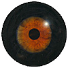 190MB - mit schwarzer Sklera Z30 - Größe: 22mm  | Iris: 12mm