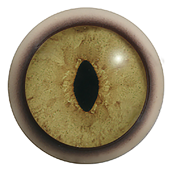 250IQFormS - LX01 - Size: 22mm  | Iris: 18mm