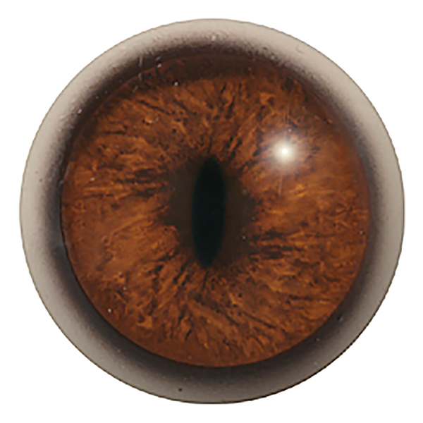 250IQFormS - RF02 - Size: 22mm  | Iris: 18mm
