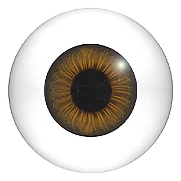 800 - TO06 - Size: 22mm  | Iris: 10mm
